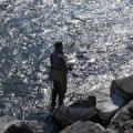 PECHE