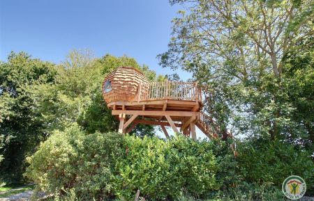 Cabane dans les arbres22G351397 Erquy - C&ocirc;tes d'Armor - Le Nid de Pie