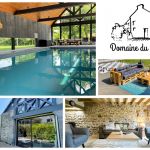 Domaine du Grenier - hortensia