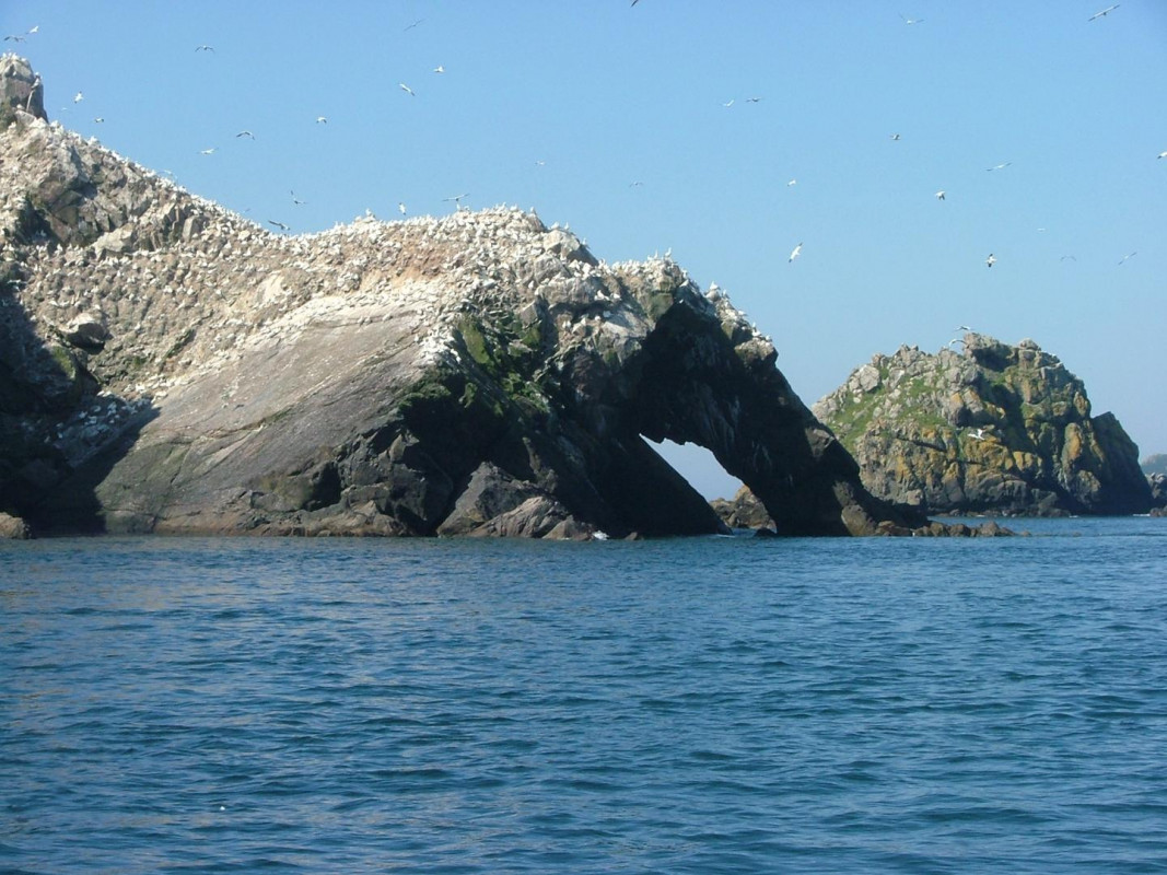 photo 46