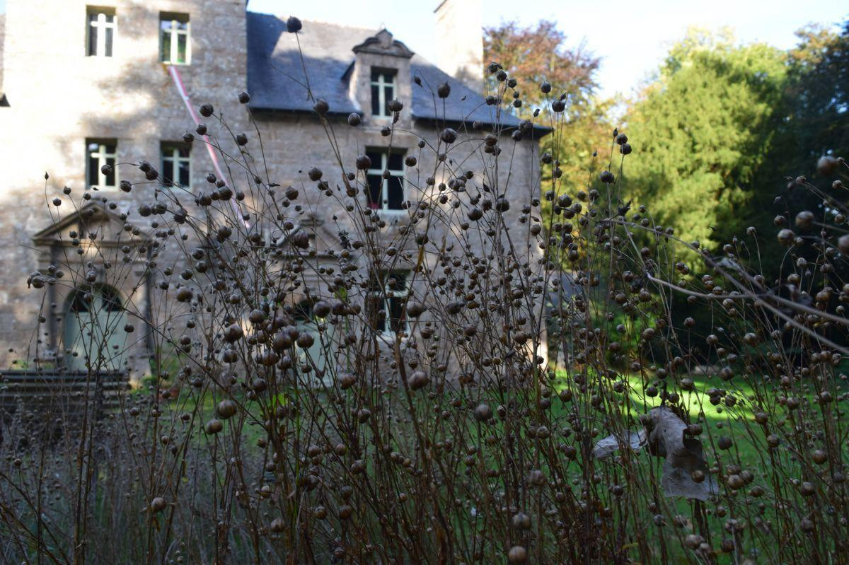 photo 50
