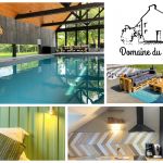 Domaine du grenier - Agapanthe