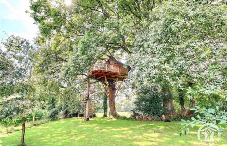 Cabane dans les arbres35G25054 La Chapelle-Chauss&eacute;e - Ille-et-Vilaine - photo