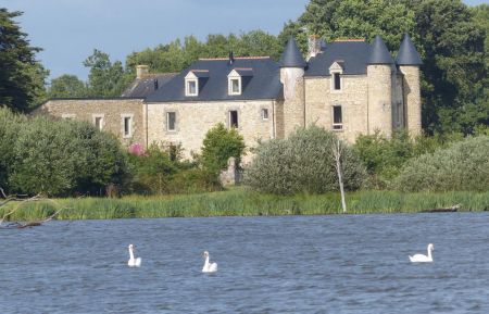Chambre d'hôtes n°56G56404 Theix-Noyalo - Morbihan - photo