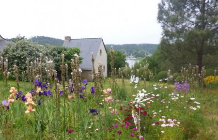 G&icirc;te n&deg;56G1477 Nivillac - Morbihan - photo