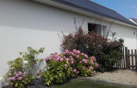 G&icirc;te n&deg;56G558 &Eacute;tel - Morbihan - photo