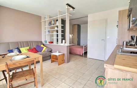 G&icirc;te n&deg;56G10715 Larmor-Plage - Morbihan - photo